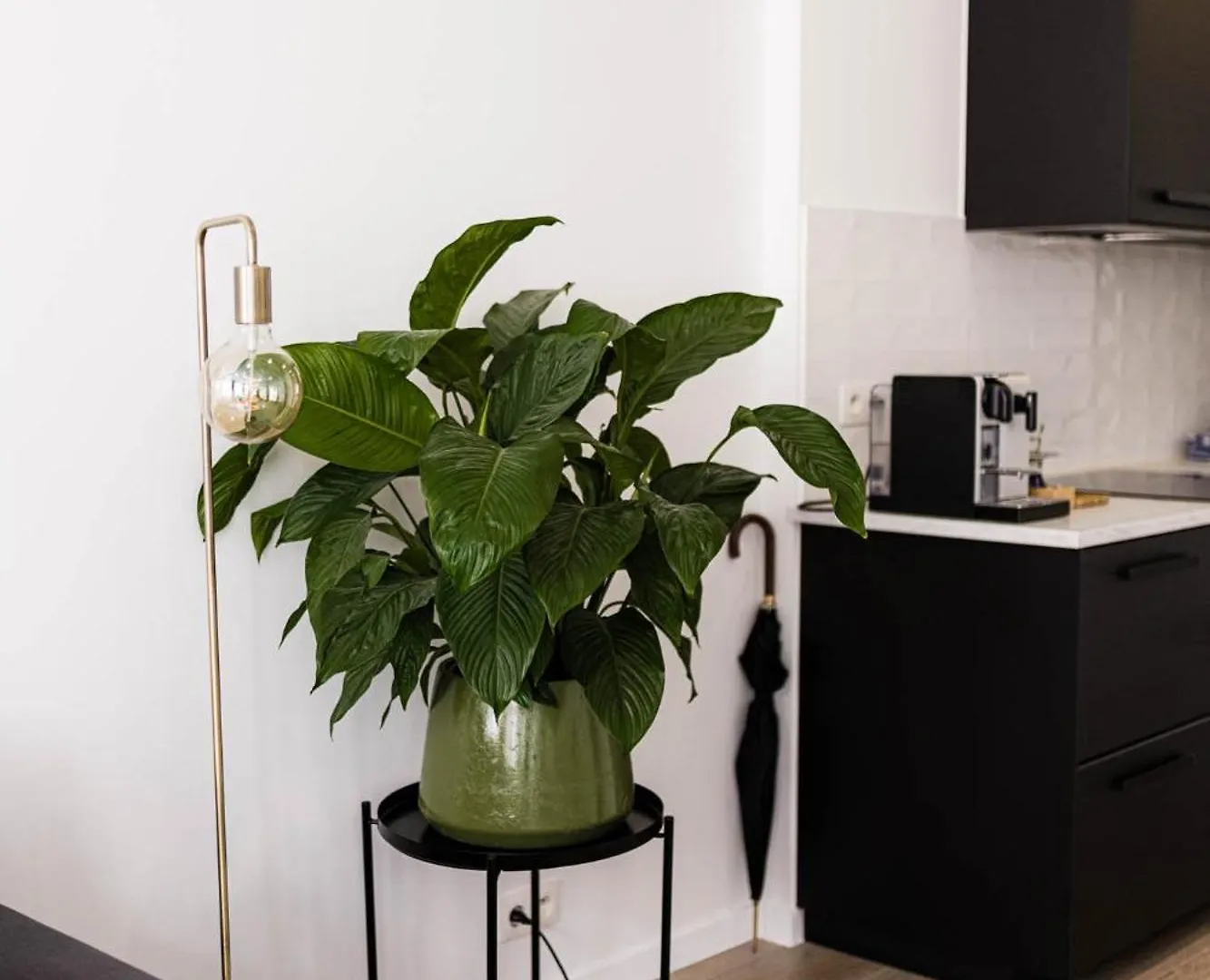 Gorgeous Getaway In The Old City Centre Of Antwerp Apartment